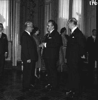 Ricevimento offerto dal Presidente della Repubblica Giovanni Gronchi in occasione della visita di Stato di Sua Altezza Serenissima il Principe di Monaco Ranieri III e della Principessa Grace