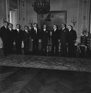 Vittorio Del Vecchio, Presidente del Comitato organizzatore del IV Congresso internazionale di igiene e medicina scolastica ed universitaria, con i componenti del comitato organizzatore in visita di omaggio al Presidente della Repubblica Antonio Segni