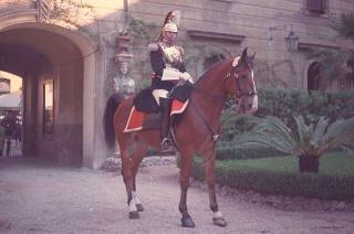 Ricevimento offerto dal Presidente della Repubblica Giuseppe Saragat nei giardini del Quirinale per il ventesimo anniversario della fondazione della Repubblica