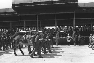 II Presidente della Repubblica Giuseppe Saragat durante la parata militare in occasione della Festa della Repubblica