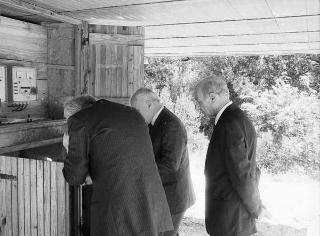 Il Presidente della Repubblica Francesco Cossiga  riceve Umberto Colombo, presidente dell'ENEA, con Evaristo Ciarla, presidente dell'amministrazione provinciale di Roma: per presentare esemplari di pannelli fotovoltaici installati nella Tenuta di Castelporziano, (Castelporziano)