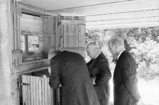 Il Presidente della Repubblica Francesco Cossiga  riceve Umberto Colombo, presidente dell'ENEA, con Evaristo Ciarla, presidente dell'amministrazione provinciale di Roma: per presentare esemplari di pannelli fotovoltaici installati nella Tenuta di Castelporziano, (Castelporziano)