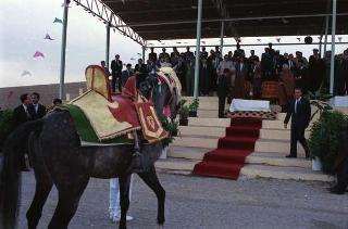 Il Presidente della Repubblica Francesco Cossiga in visita di Stato in Algeria (12 - 14 novembre 1989)