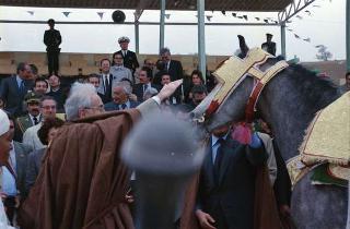 Il Presidente della Repubblica Francesco Cossiga in visita di Stato in Algeria (12 - 14 novembre 1989)