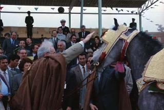 Il Presidente della Repubblica Francesco Cossiga in visita di Stato in Algeria (12 - 14 novembre 1989)