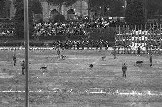 Intervento del Presidente della Repubblica Francesco Cossiga alla celebrazione del 177° anniversario di fondazione dell'Arma dei Carabinieri. Roma,  Piazza di Siena