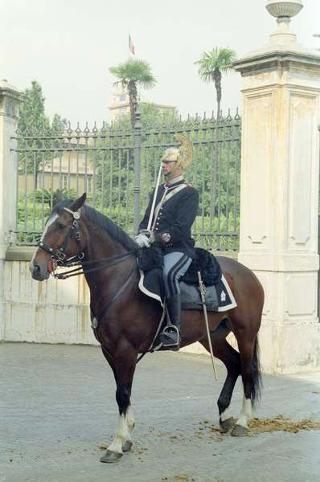 Cerimonia di consegna al Presidente della Repubblica di una riproduzione da tavolo della Bandiera Colonnella del Reggimento Carabinieri Guardie della Repubblica, per il 6° anniversario del suo insediamento al Quirinale
