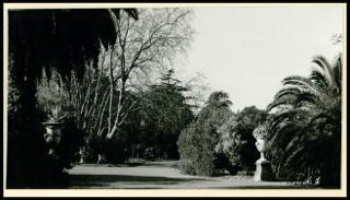 Onoranze a Pietro Mascagni a Livorno nel giugno 1951
