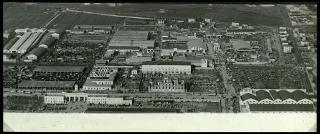 La Fiera internazionale dell'agricoltura di Verona nelle edizioni 1952, 1955 e 1956
