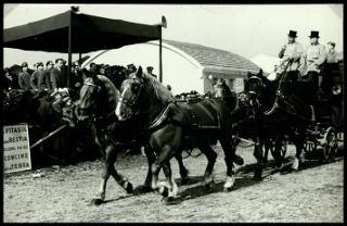 La Fiera internazionale dell'agricoltura di Verona nelle edizioni 1952, 1955 e 1956