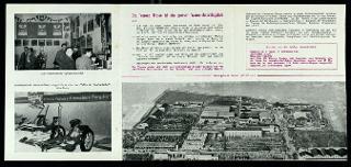La Fiera internazionale dell'agricoltura di Verona nelle edizioni 1952, 1955 e 1956