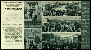La Fiera internazionale dell'agricoltura di Verona nelle edizioni 1952, 1955 e 1956