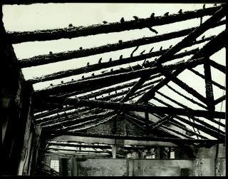 Testimonianze delle officine grafiche Trevisan di Castelfranco Veneto con la documentazione della distruzione a causa di un incendio il 9 gennaio 1956 fino alla ripresa dell'attività nel gennaio 1957