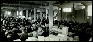 Testimonianze delle officine grafiche Trevisan di Castelfranco Veneto con la documentazione della distruzione a causa di un incendio il 9 gennaio 1956 fino alla ripresa dell'attività nel gennaio 1957
