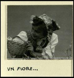 Le province di Udine e Gorizia