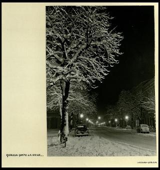 Le province di Udine e Gorizia