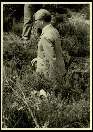 Giovanni Gronchi assiste all'esercitazione militare "Monte Bianco terzo" a Baraggia di Rovasenda il 29 luglio 1956