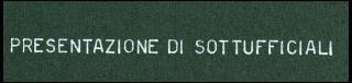 Giovanni Gronchi assiste all'esercitazione militare "Monte Bianco terzo" a Baraggia di Rovasenda il 29 luglio 1956