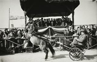 Intervento del Presidente della Repubblica Luigi Einaudi e della moglie Ida alla inaugurazione della 54^ Fiera Internazionale dell'Agricoltura e dei Cavalli (Verona)