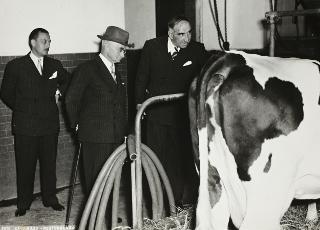 Visita del Presidente della Repubblica Luigi Einaudi a Portogruaro