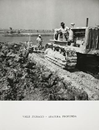 Visita del Presidente della Repubblica Luigi Einaudi a Portogruaro