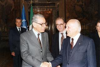 Boutros Boutros-Ghali, Segretario Generale dell'ONU