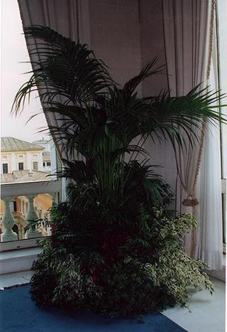 Allestimento della tavola e addobbi floreali in occasione dell'incontro con il Presidente della Repubblica del Panama