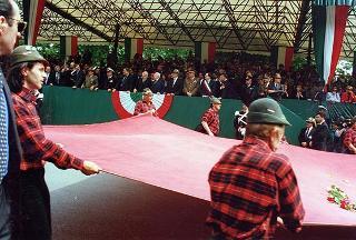 Friuli Venezia Giulia: interventi del Presidente della Repubblica a Codroipo, per la cerimonia promossa dalla Regione nel ventennale del terremoto del 1976; a Udine, per la 69^ Adunata nazionale degli alpini; a Palmanova, per un incontro con l'Amministrazione comunale