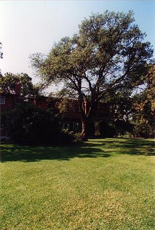 Villa del Presidente della Repubblica a Castelporziano