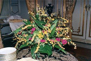 Addobbo floreale in occasione del ricevimento offerto dalla signorina Marianna, Sala degli specchi