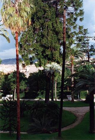 Caduta di una palma nei giardini per cause atmosferiche