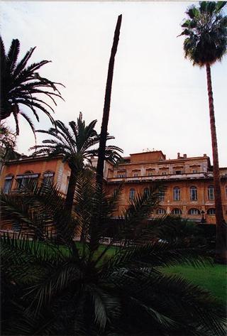 Caduta di una palma nei giardini per cause atmosferiche
