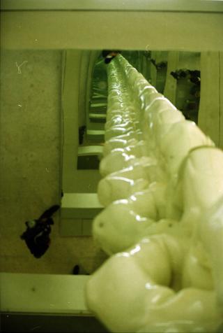 Visita ufficiale del Presidente della Repubblica Ciampi in Finlandia (28 - 29 settembre 1999)