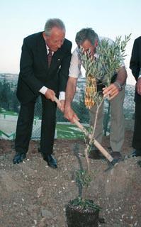 Visita di stato del Presidente della Repubblica Ciampi nello stato d'Israele. Messa a dimora di un ulivo nella Foresta della Pace