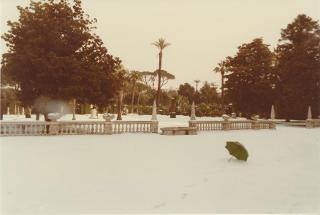 Neve nei Giardini del Palazzo del Quirinale