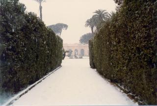 Neve nei Giardini del Palazzo del Quirinale