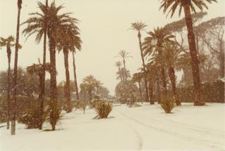 Neve nei Giardini del Palazzo del Quirinale