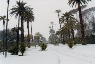 Neve nei Giardini del Palazzo del Quirinale