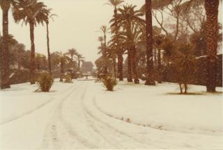 Neve nei Giardini del Palazzo del Quirinale