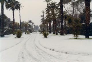 Neve nei Giardini del Palazzo del Quirinale