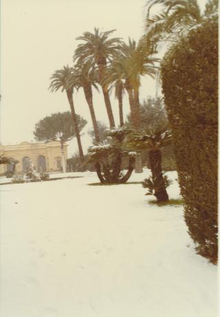 Neve nei Giardini del Palazzo del Quirinale