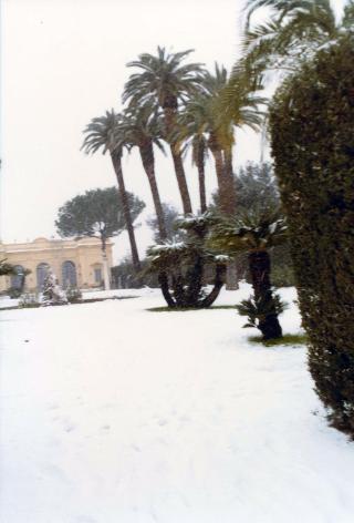Neve nei Giardini del Palazzo del Quirinale